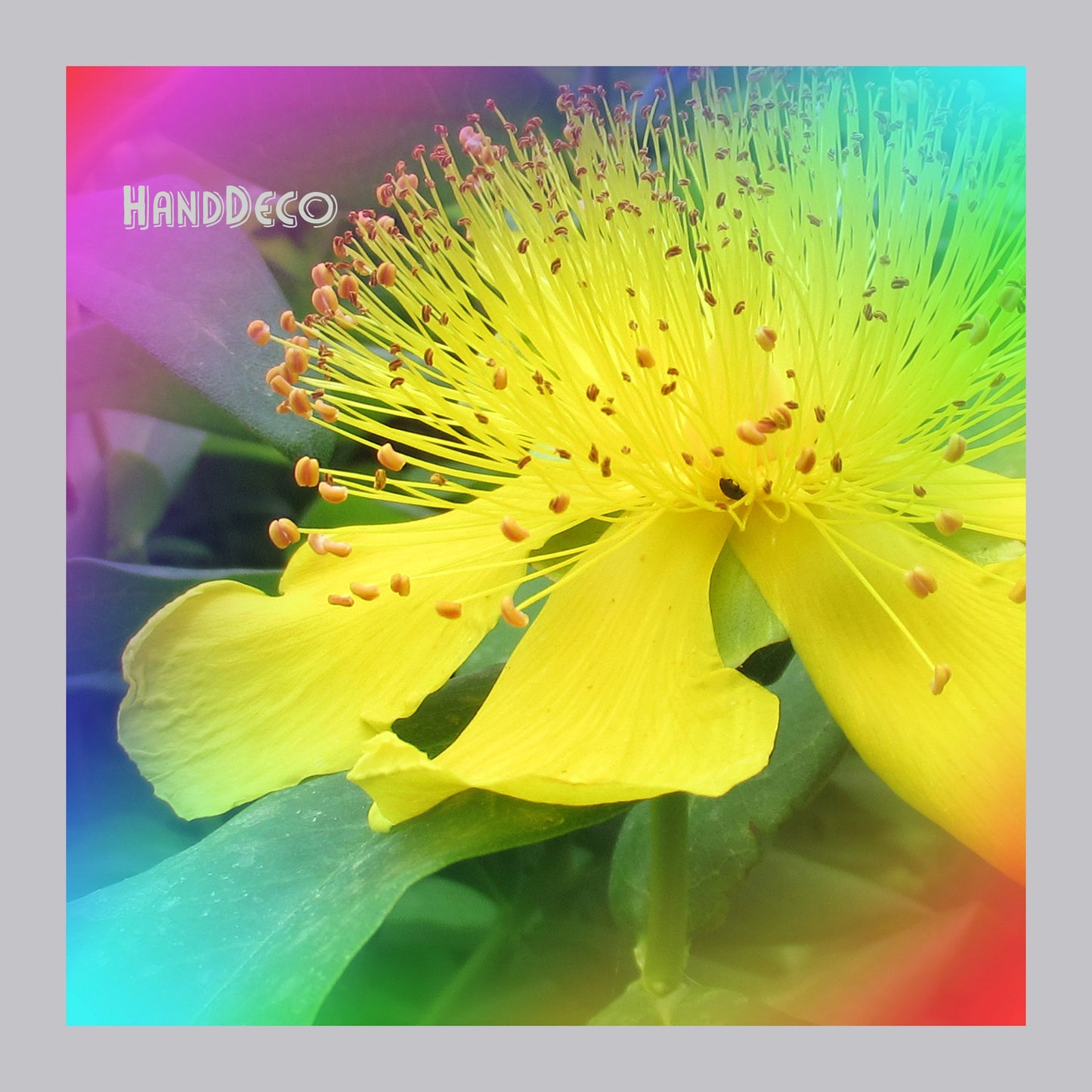 Bunte Blumenstimmung Kreuzstich Vorlage