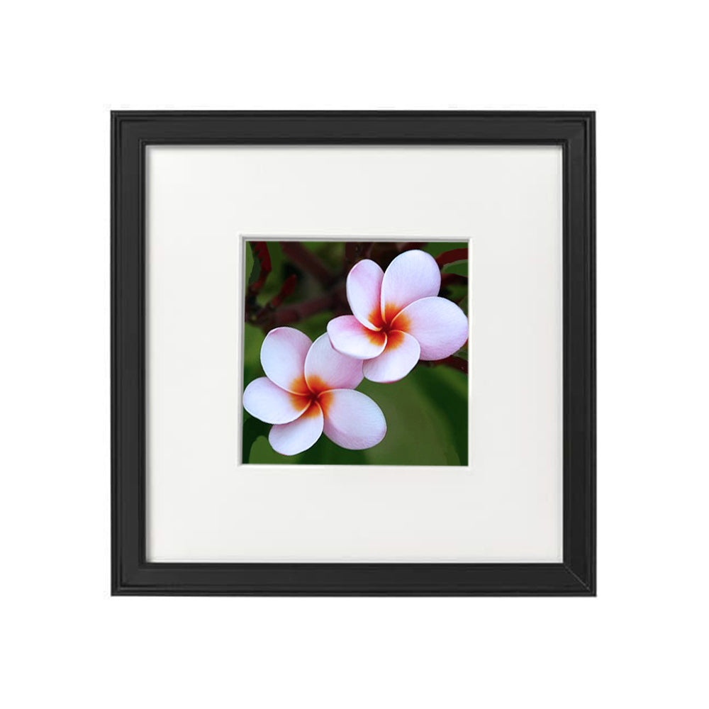 Plumeria Lila Kreuzstich