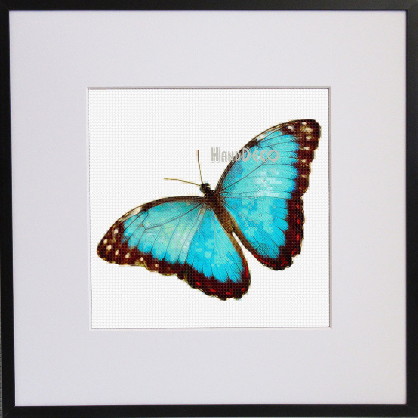 Blauer Morphofalter Kreuzstich