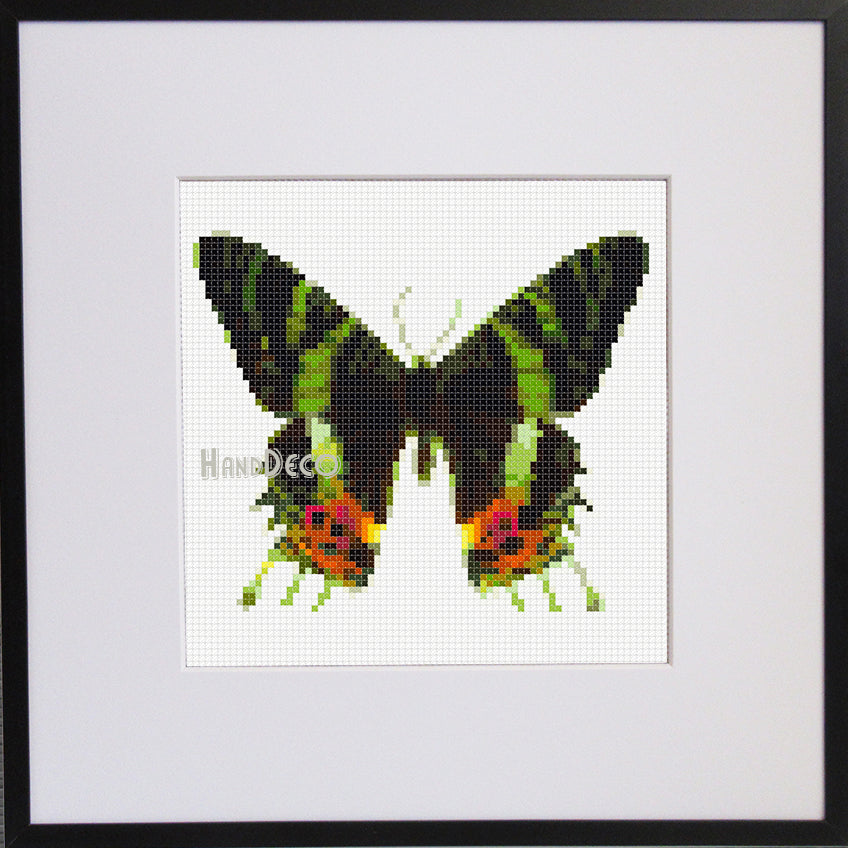 Schmetterling Regenbogenfalter Kreuzstich Vorlage