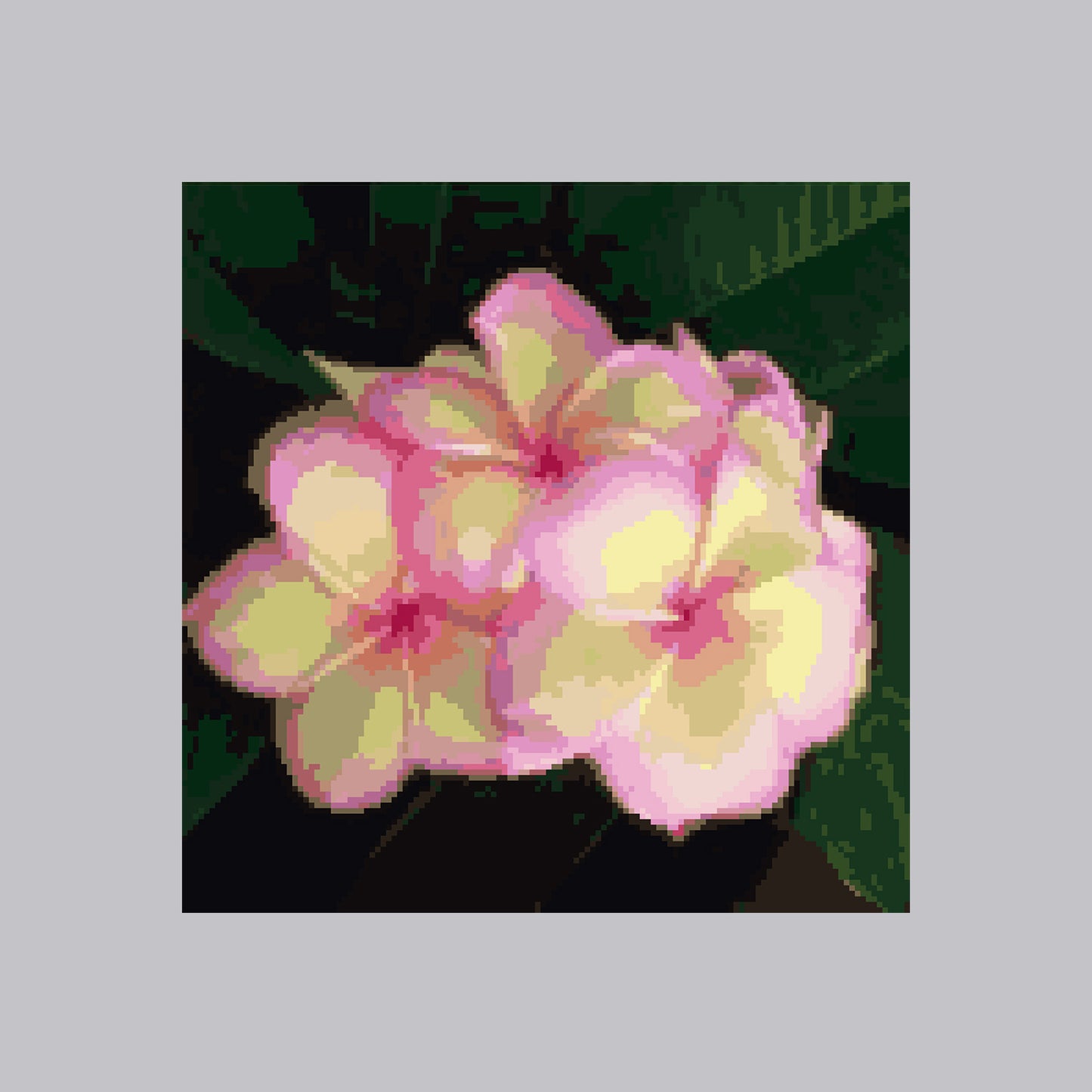 Plumeria yellow-pink cross stitch