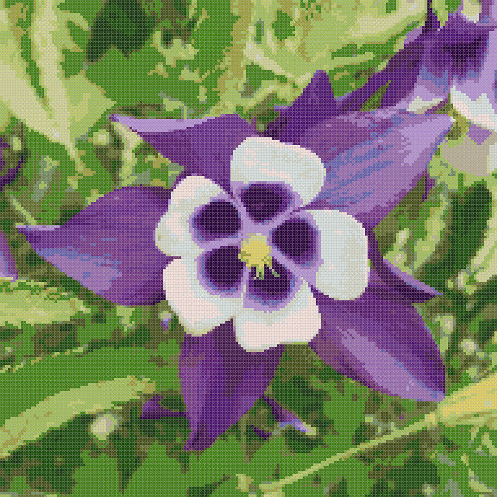 Waldblume Makro