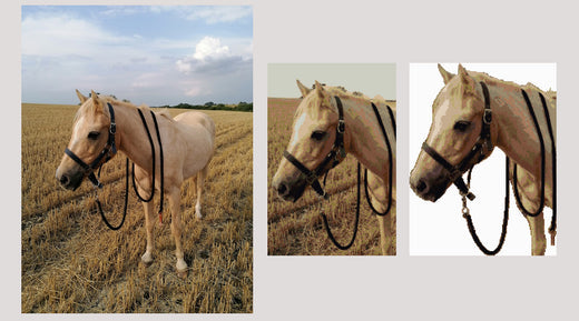 Stickvorlage erstellen Photoshop
