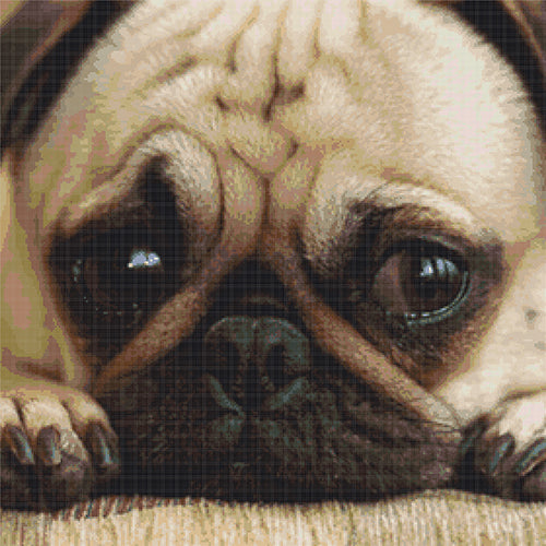 Personalisierte Stickpackung nach Ihrem Foto: Mops als Beispiel.