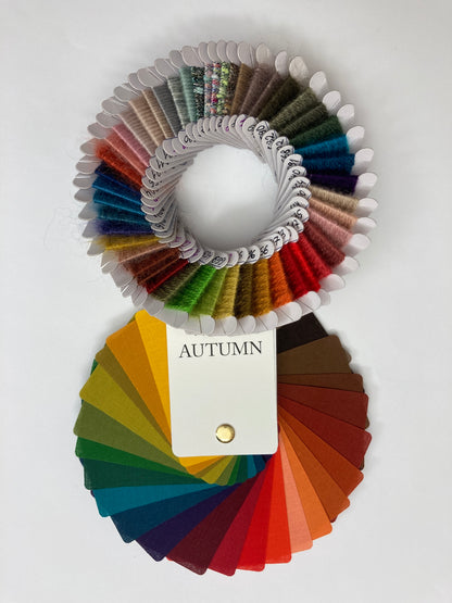 Colour Analysis Mini Session