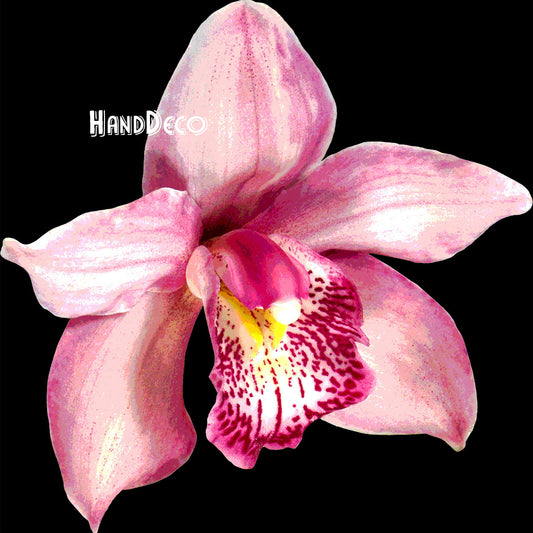 Orchidee Cymbidium rosa Kreuzstich