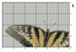 Tiger Schwalbenschwanz Kreuzstich