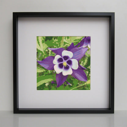 Waldblume Makro