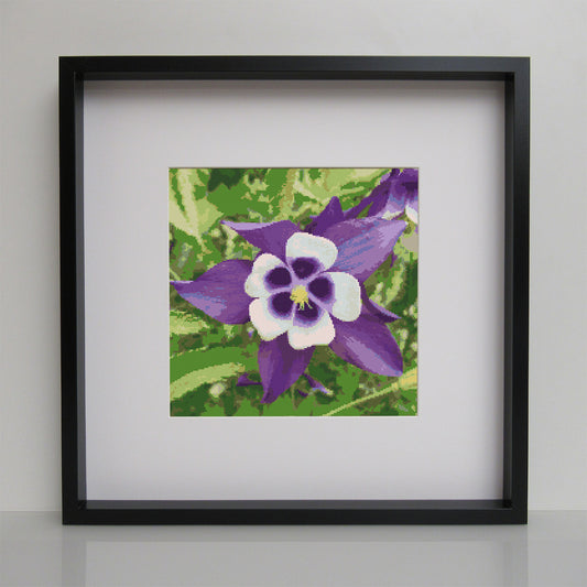 Waldblume Makro