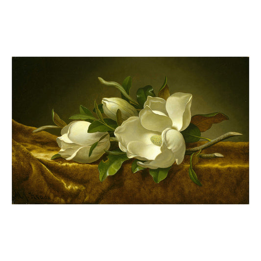 Magnolien auf goldenem Samttuch, 1890, nach M. J. Heade