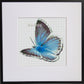 Schmetterling Himmelblauer Bläuling Kreuzstich Vorlage