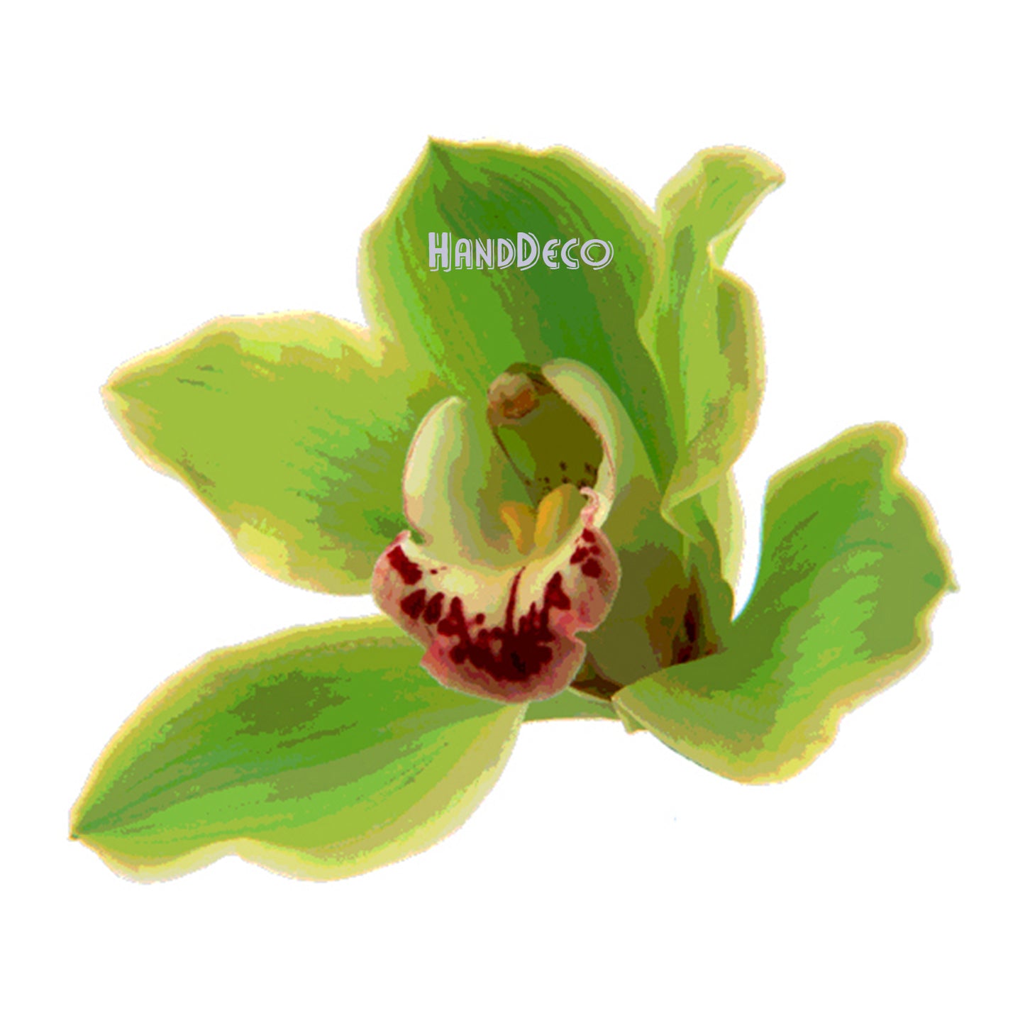 Orchidee Cymbidium grün Kreuzstich