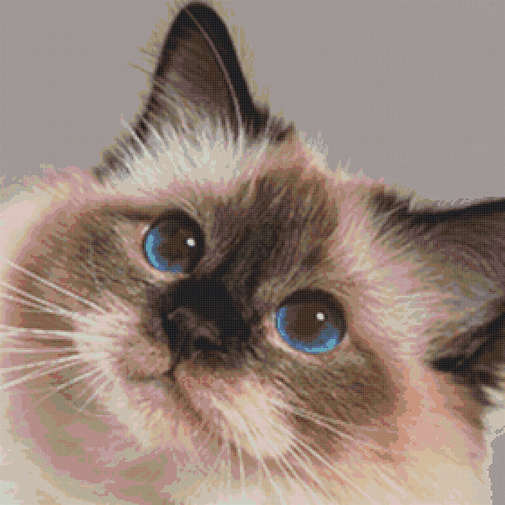 Katze 1 Kreuzstich