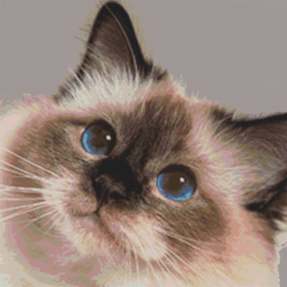 Katze 1 Kreuzstich